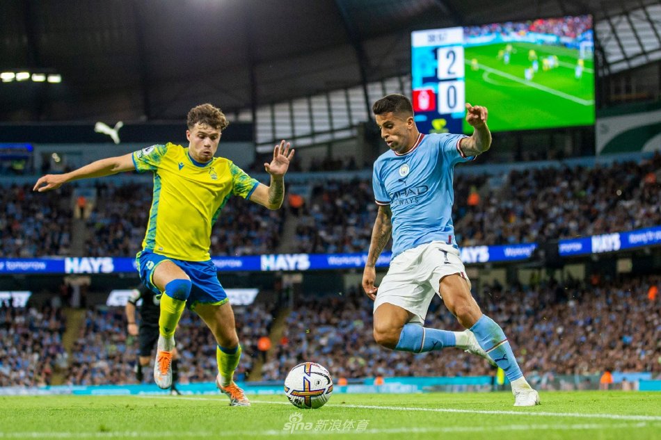 的围棋老师 的围棋老师